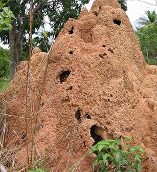 業(yè)務(wù)領(lǐng)域